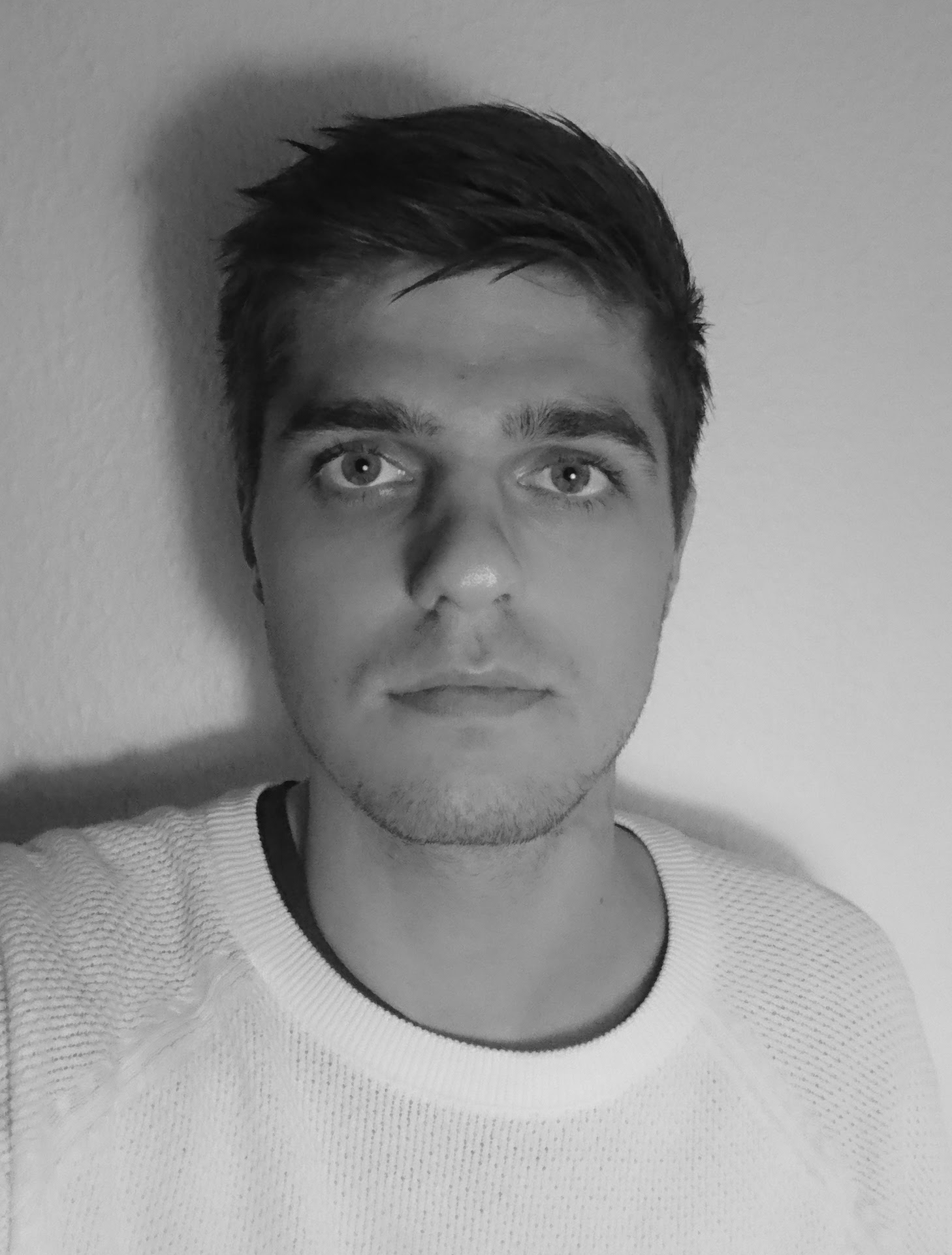 Programmør Bjørn Henneberg - EliteWeb Denmark